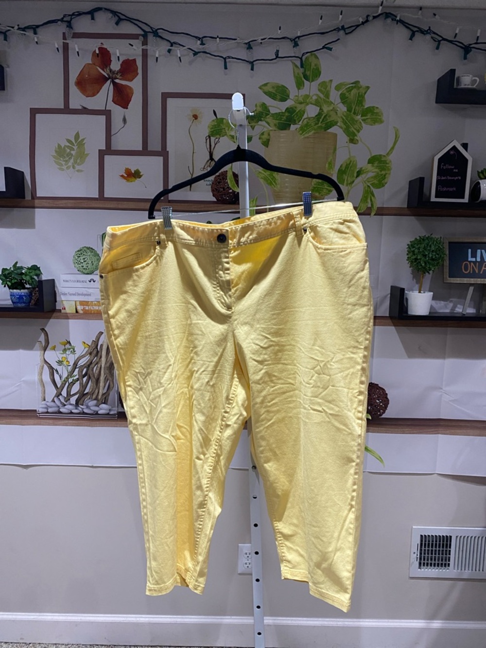 Dalia Collection Light Yellow capri pants. 22 W. Waist 22 rise 13 length 22